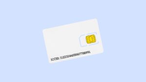ICCID on SIM Card